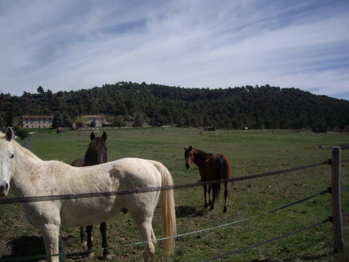 L' Oliveraie De Plerimond Aups Luaran gambar