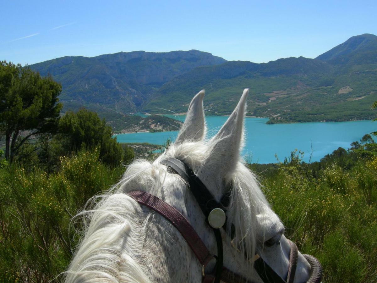 L' Oliveraie De Plerimond Aups Luaran gambar