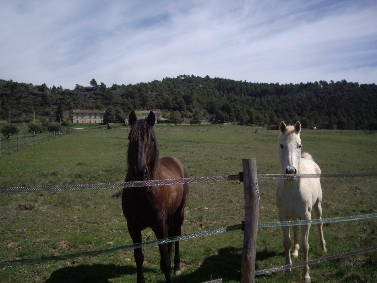 L' Oliveraie De Plerimond Aups Luaran gambar